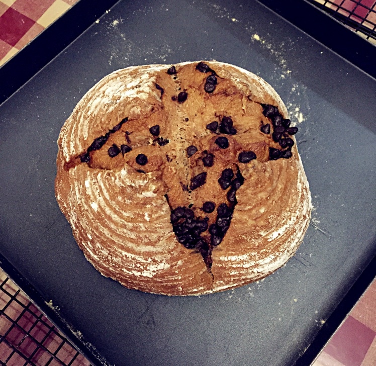 全麦巧克力豆软欧