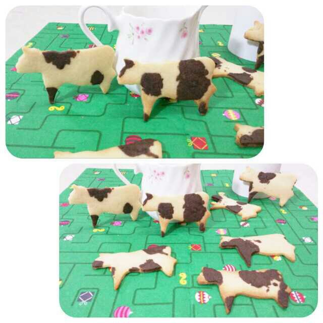 为孩子烘焙
        各式的饼干，蛋糕，面包排队站好。