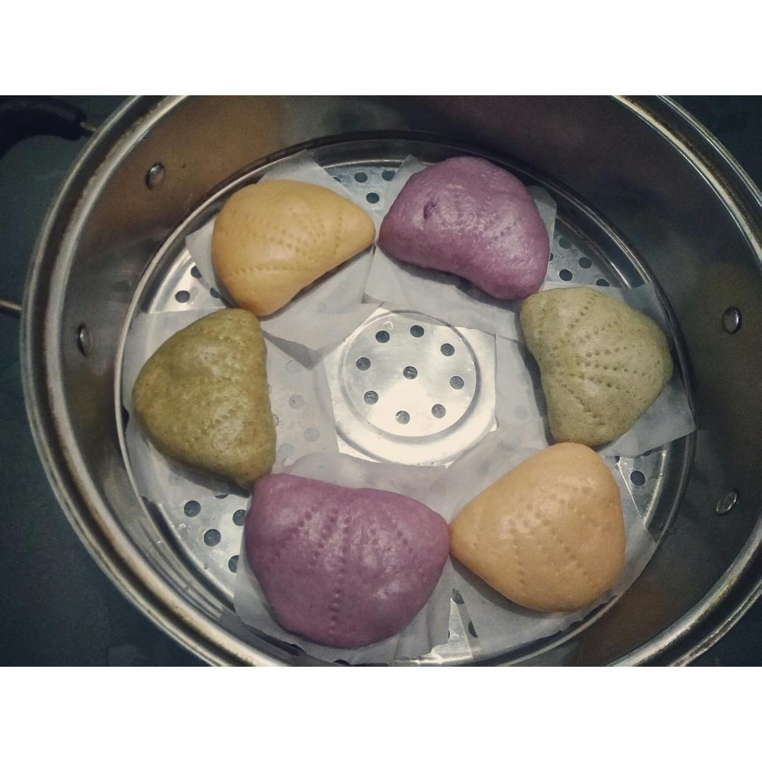 浪漫紫贝壳