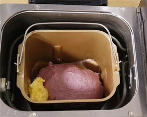 奶香浓郁紫薯面包的做法的做法 步骤4
