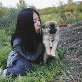 MissQingC