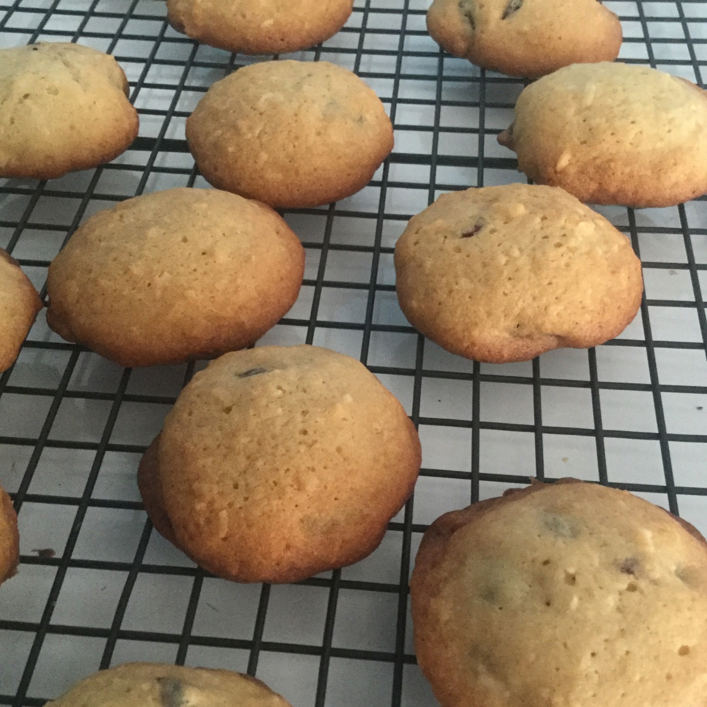 蔓越莓椰子曲奇 Cranberry & Coconut Cookies