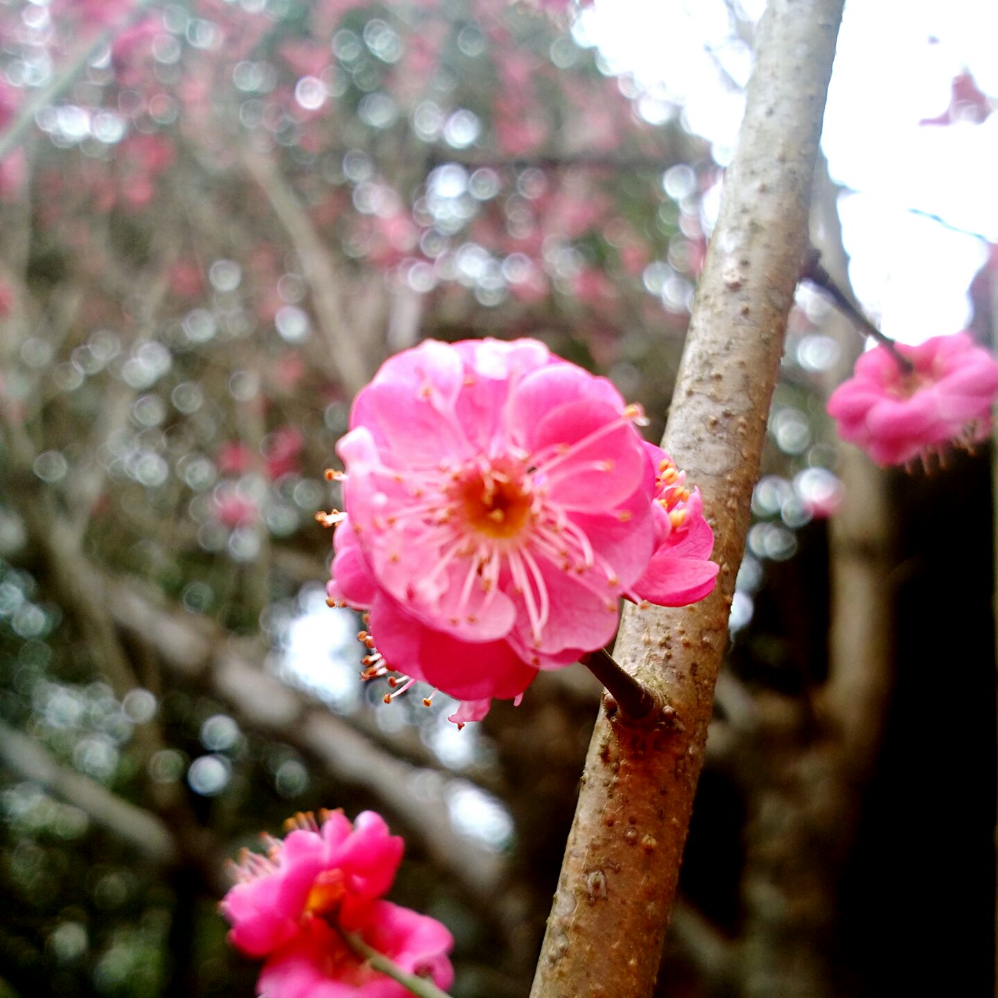 锅碗瓢盆交响曲