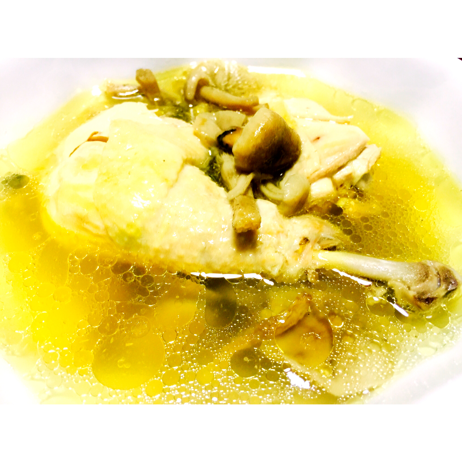 作品 云厨房gege做的野山菌老母鸡汤