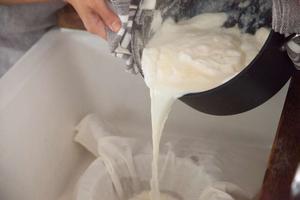 Homemade Soy Yogurt自制酸豆乳发酵豆浆大豆酸奶的做法 步骤7