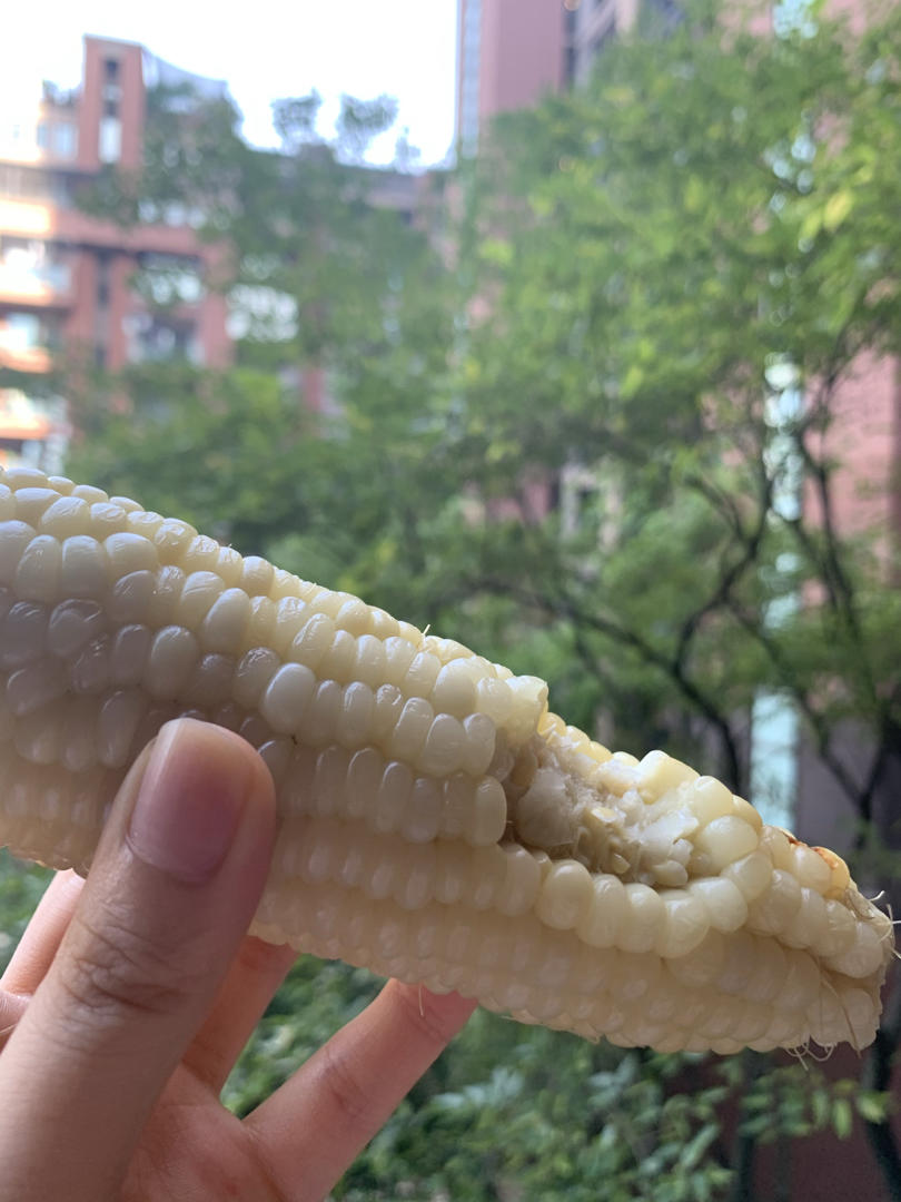 快乐食物健康吃到饱