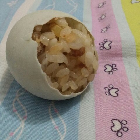 晚餐•2016年5月27日