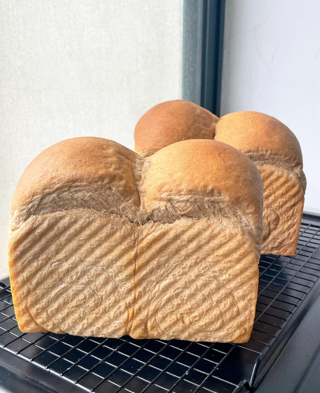 50%全麦吐司｜低糖低脂，吃起来不像是吃全麦的全麦吐司！