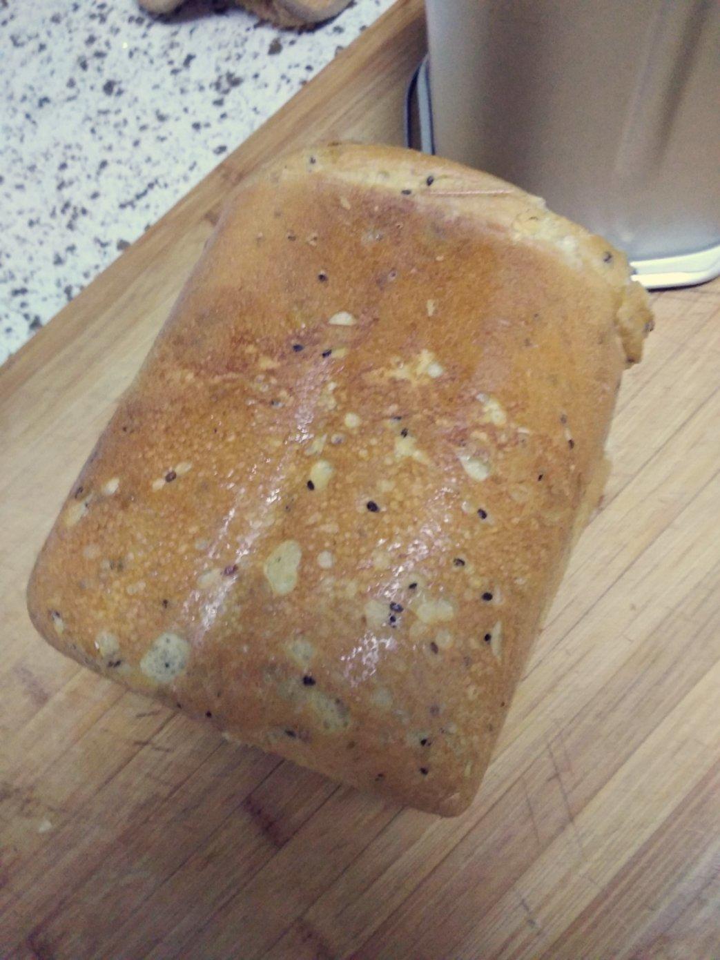 汉堡胚 poolish（波兰种）