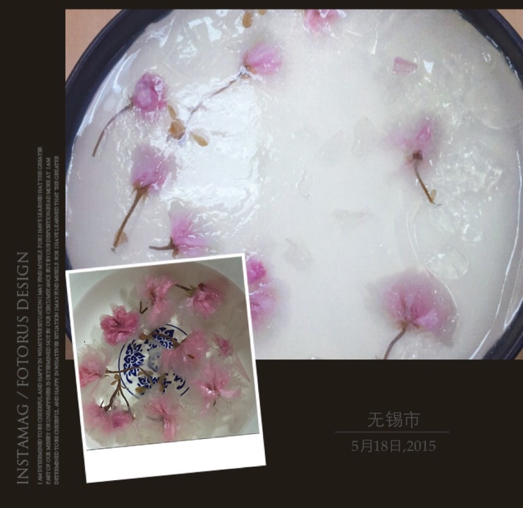 牛奶芝士慕斯蛋糕