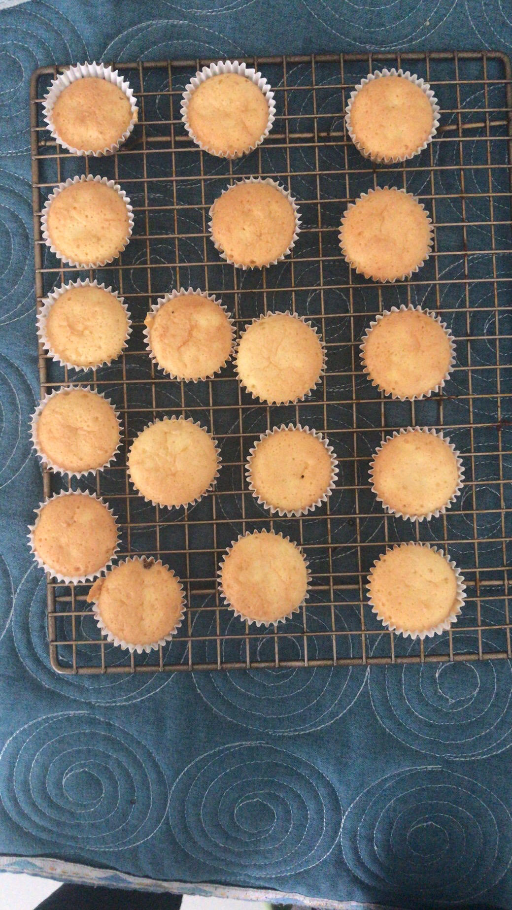 椰子油迷你小蛋糕（不塌陷，不开裂，不回缩）