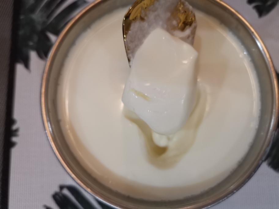 脱脂无糖酸奶的成功秘诀的做法