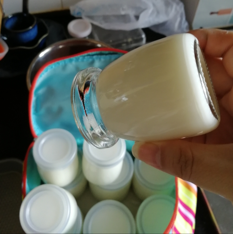 媲美安慕希的自制老酸奶的做法
