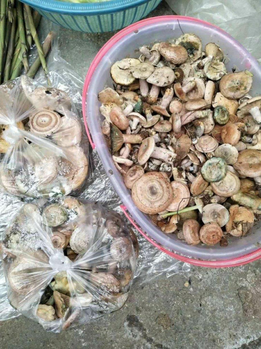 【花椒鸡丁】鸡腿肉吃法万千，这道菜最为惊艳！