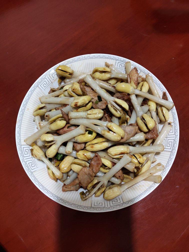 自己动手种花生芽