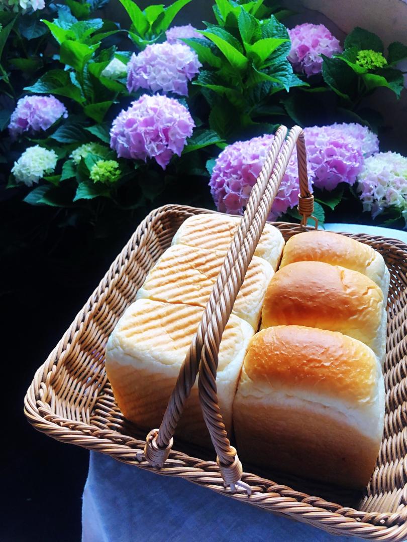 中种吐司（70中种）