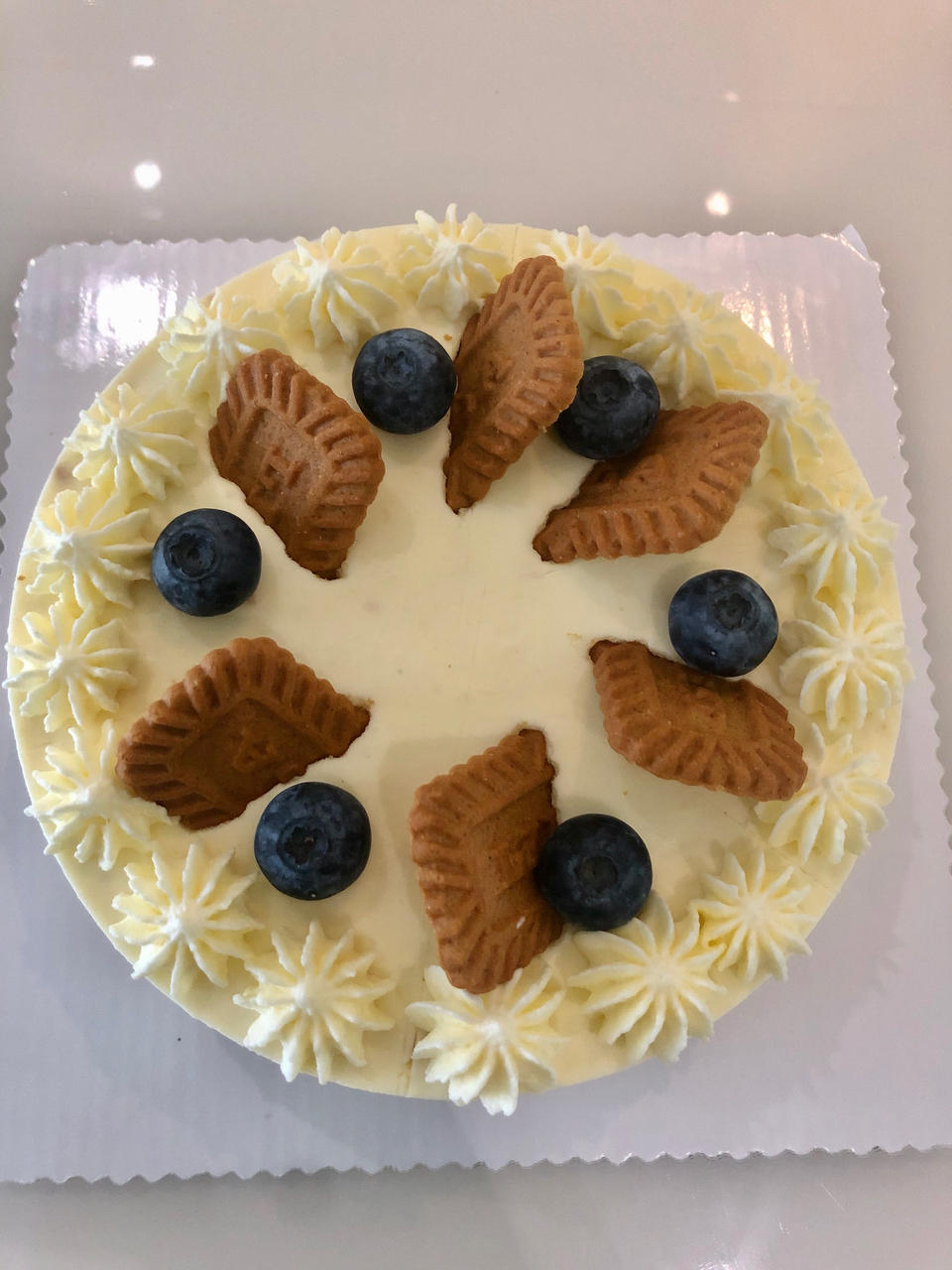 焦糖冻芝士蛋糕