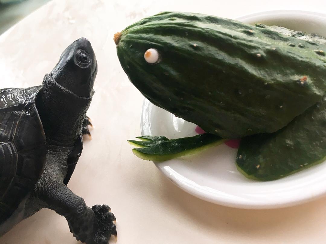 蔬果创意黄瓜青蛙