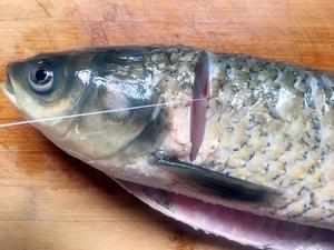 巧取淡水鱼鱼腥线-静的食光的做法 步骤3