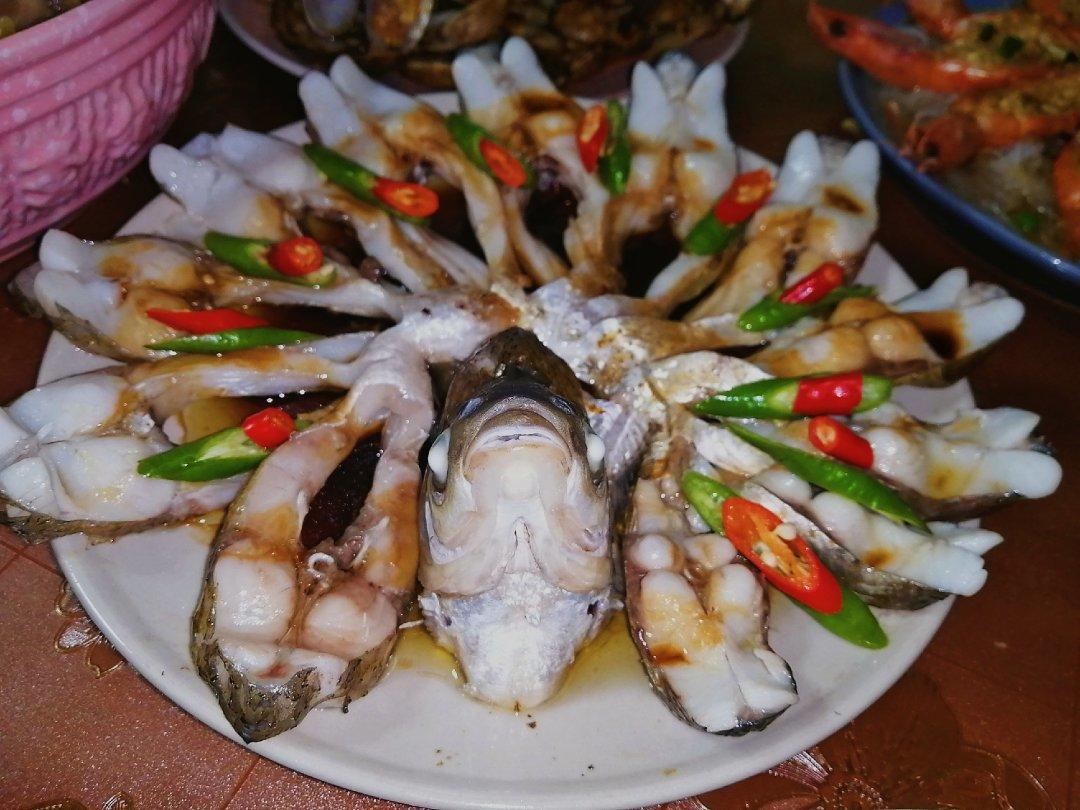 孔雀开屏鱼.