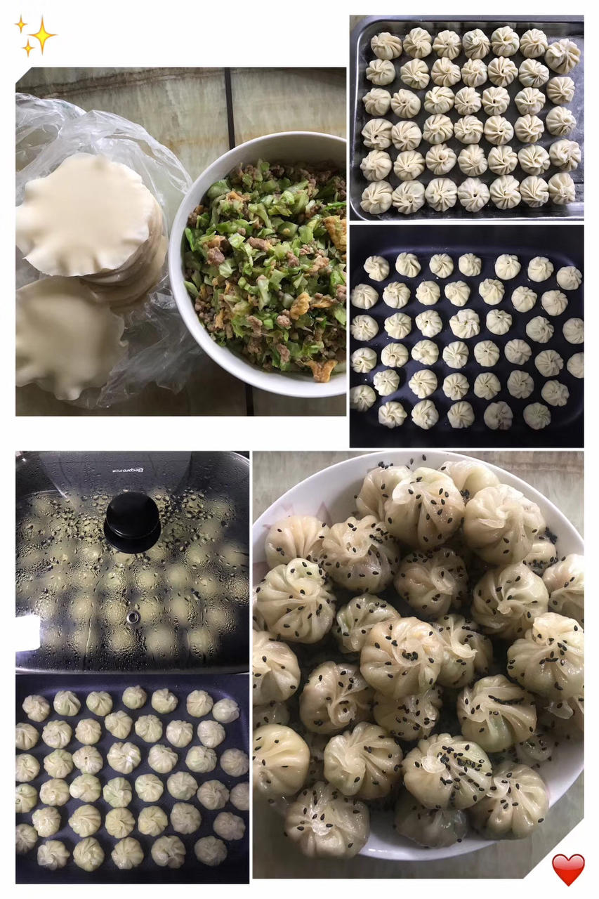 快手生煎包（饺子皮版）