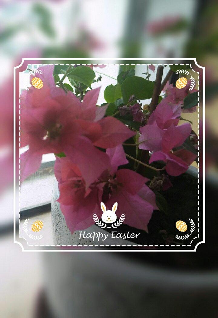 快手汉堡牛肉饼🍔