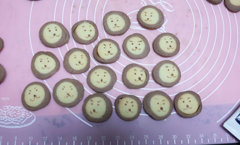 萌哭了的可可狮子饼干