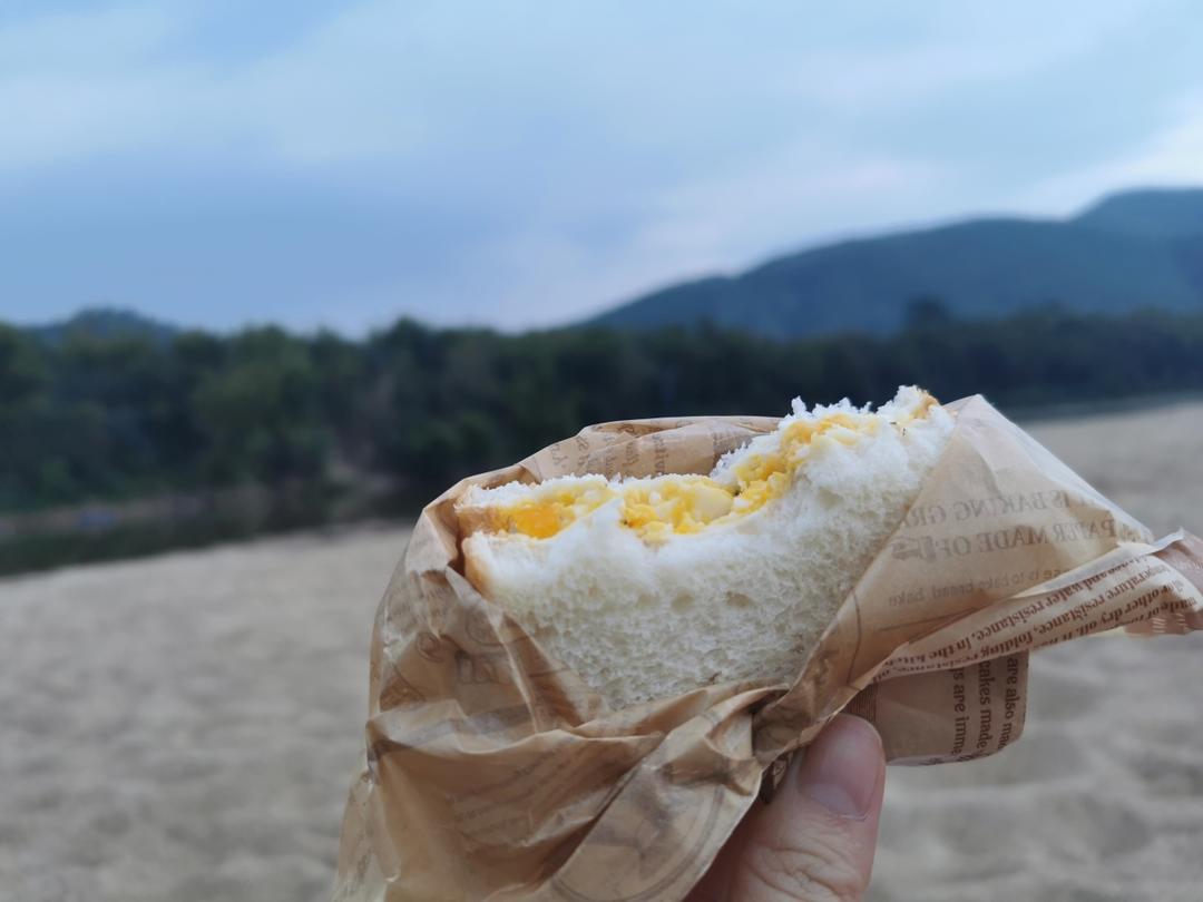 露营必备-鸡蛋沙拉三明治