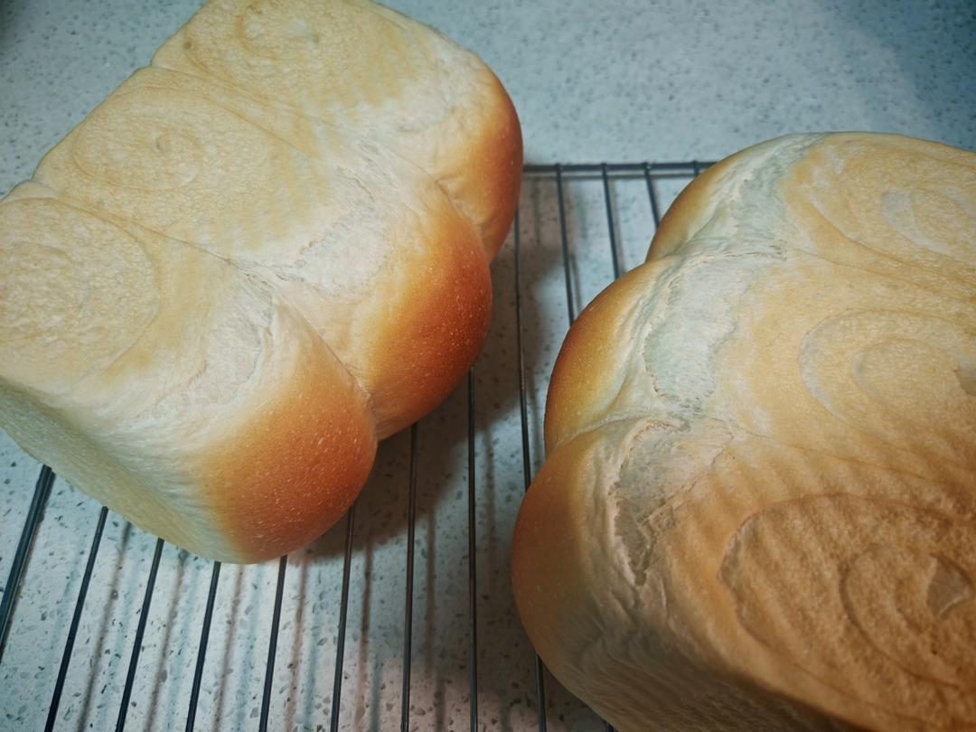 橄榄油白白吐司--无蛋无奶