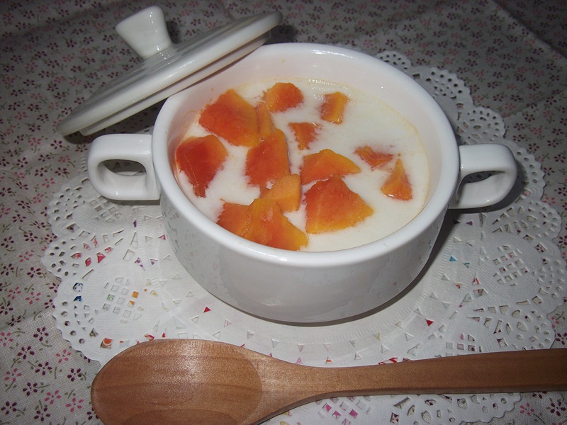 乔巴酱做的木瓜炖牛奶