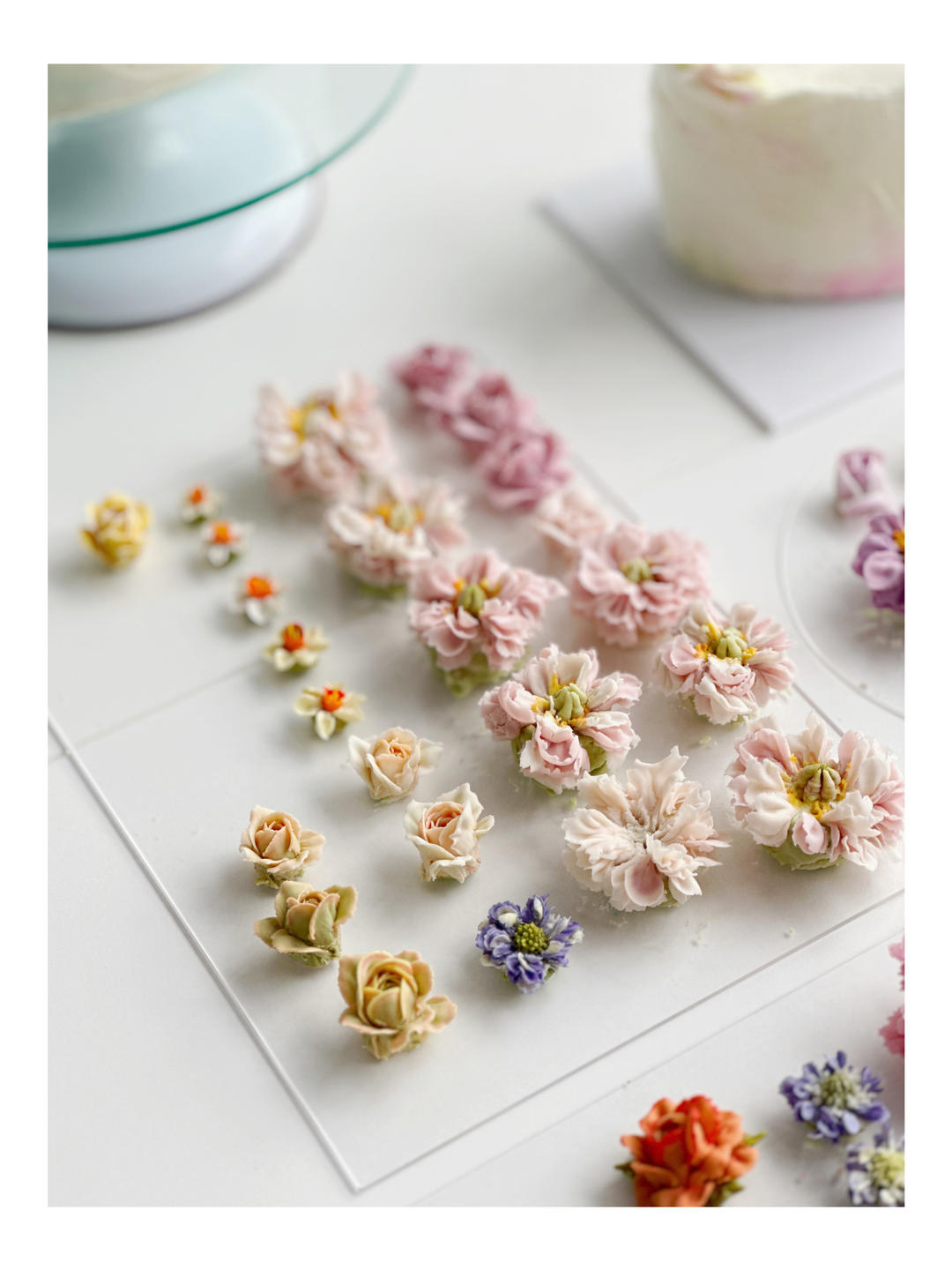 大王的面包&法甜