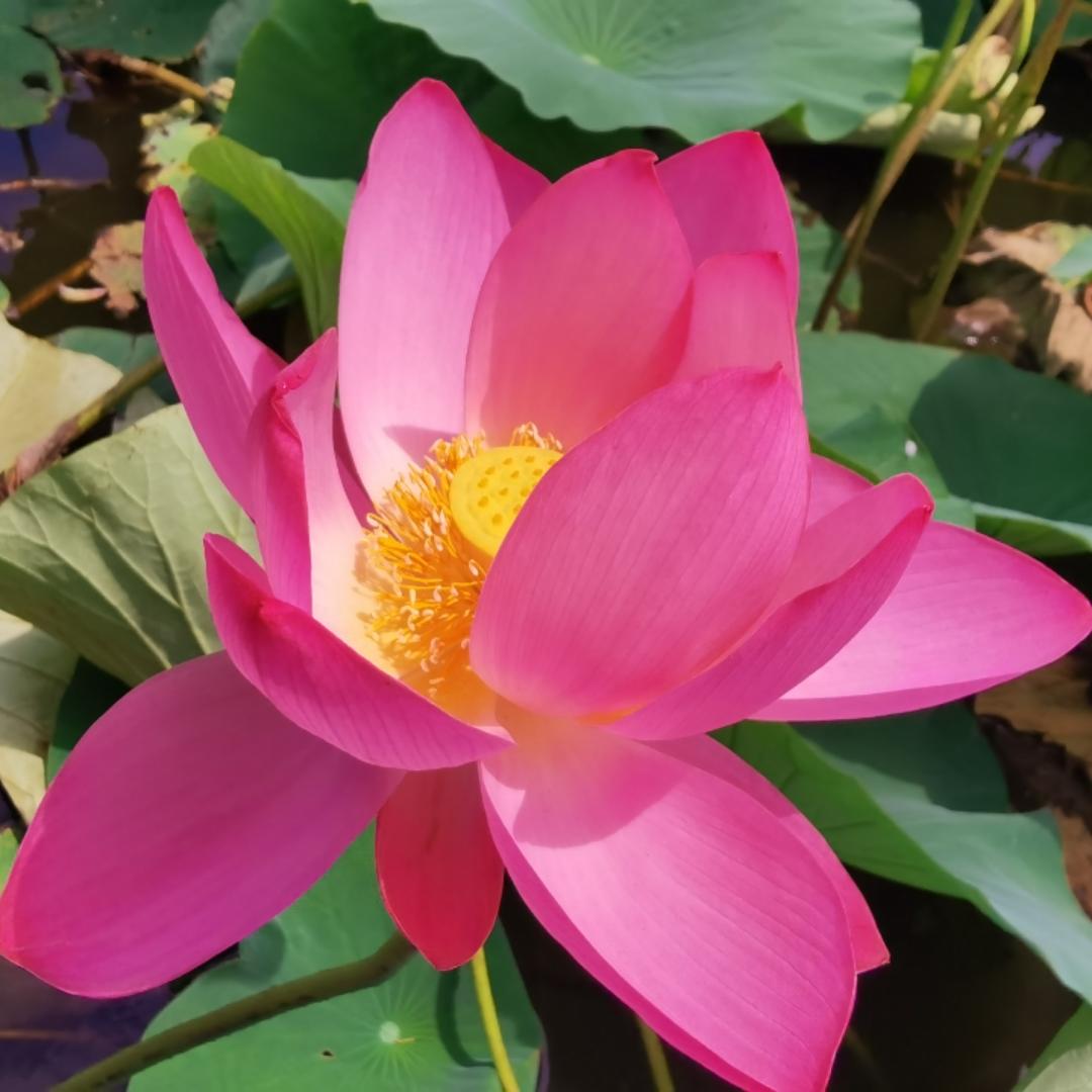 手机用户5389_8yjf