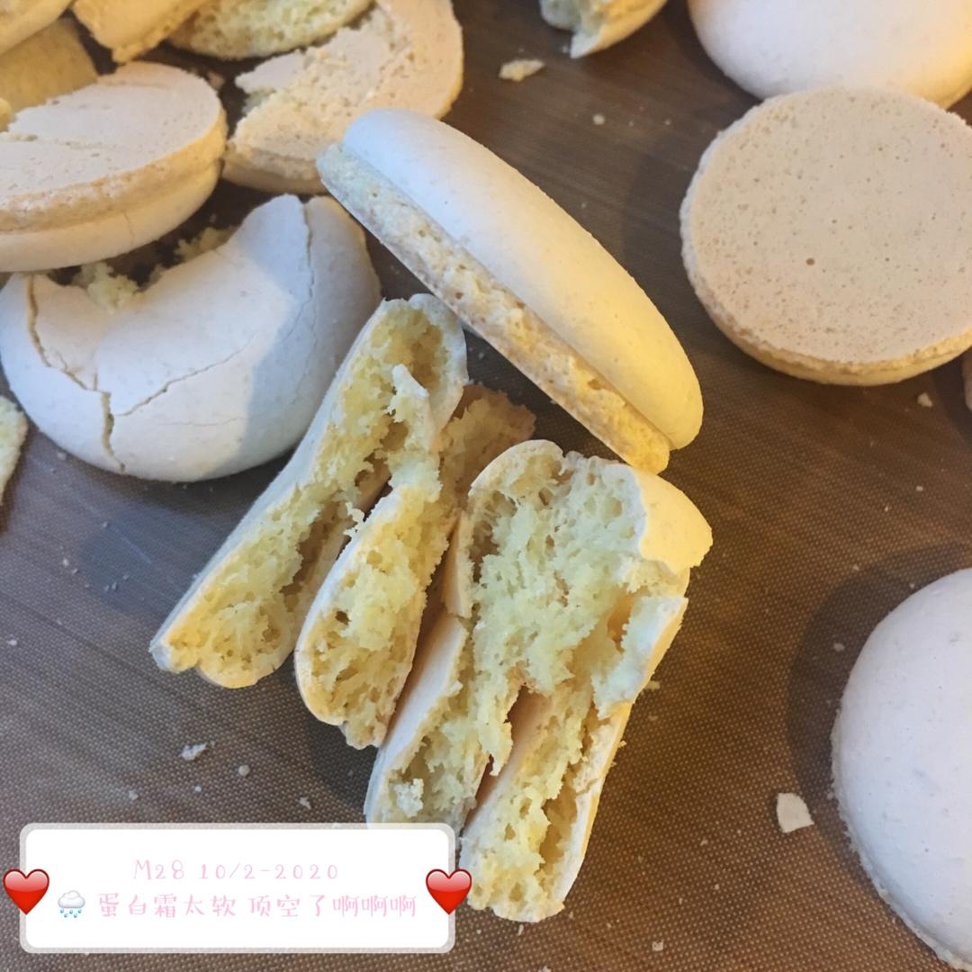 终于我也走上了磕马的道路