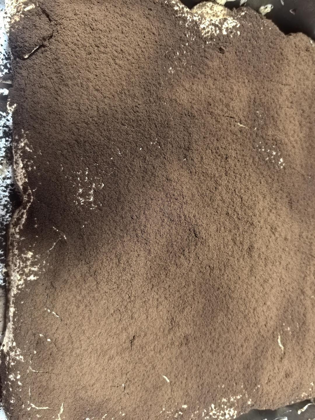 午餐•2026年1月9日