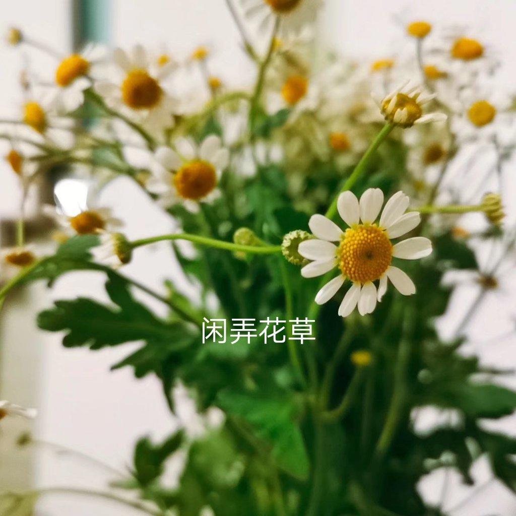 色香味俱全❗️❗️❗️好恰的火腿肠蛋炒饭