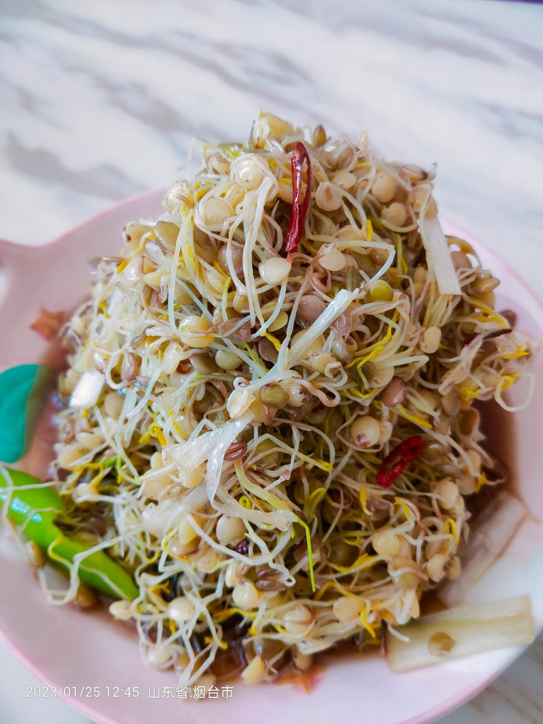 自发扁豆芽绿色食品