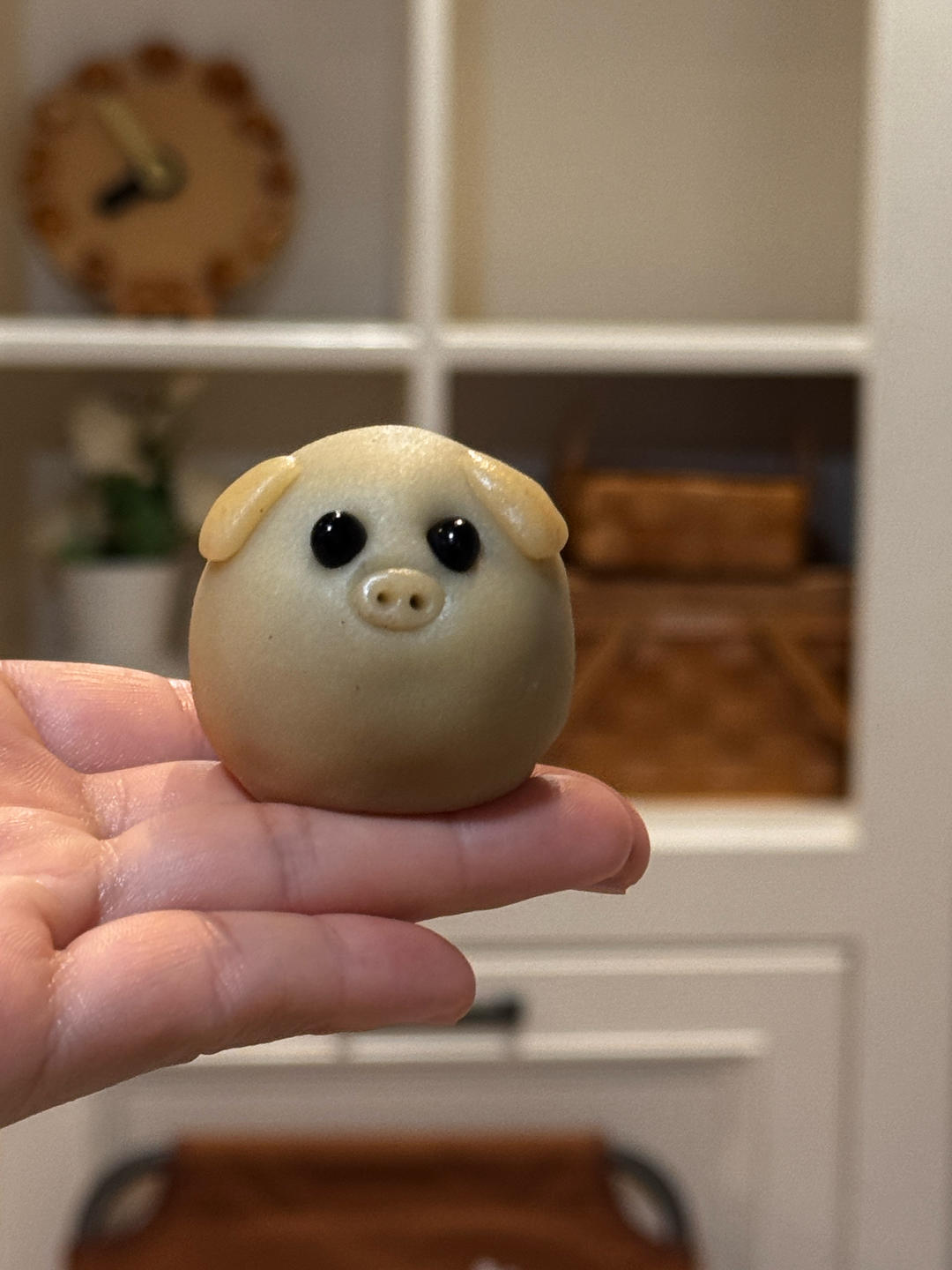 蜜糖不爱做饭