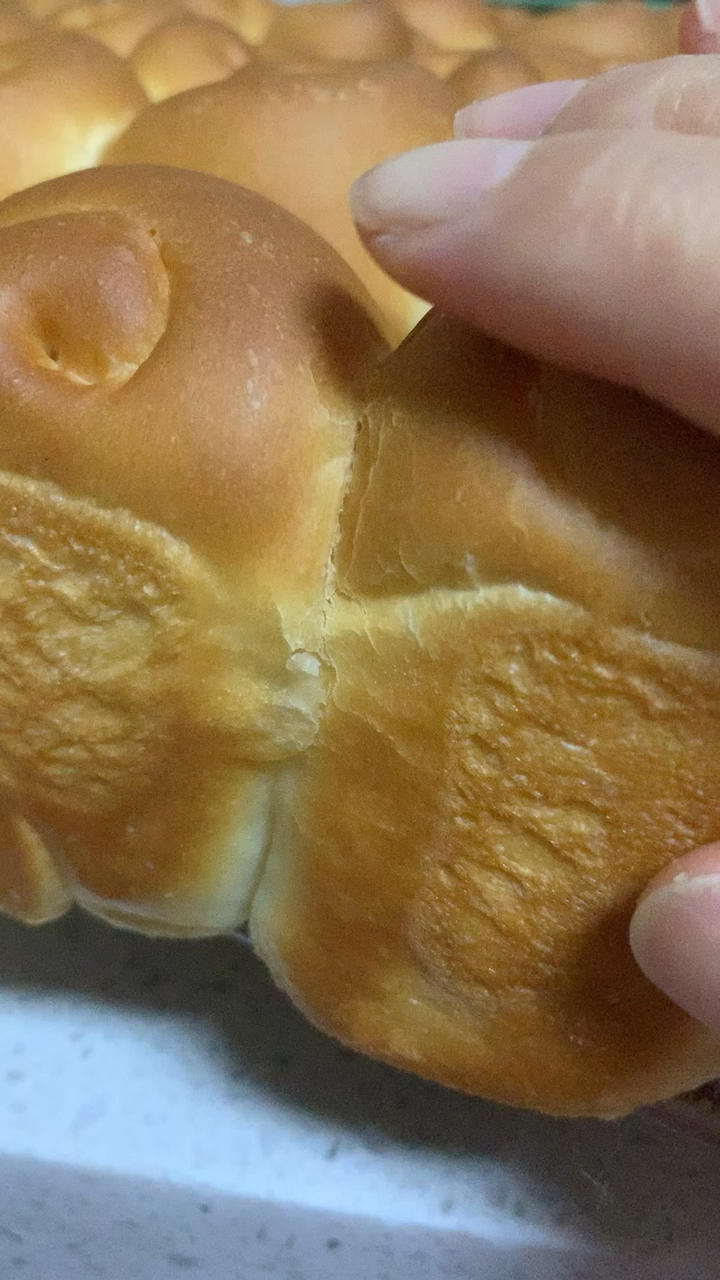脆底蜂蜜小面包