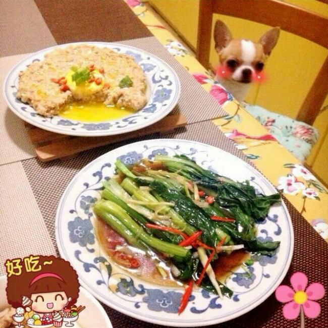 白灼广东菜心