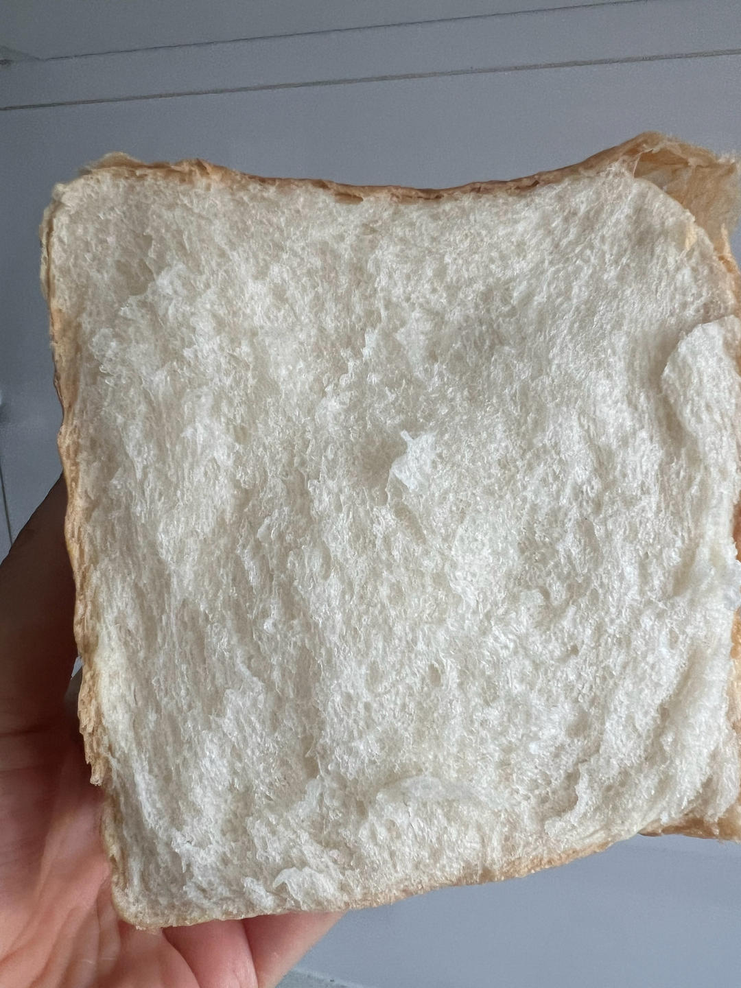 poolish（波兰种）软吐司