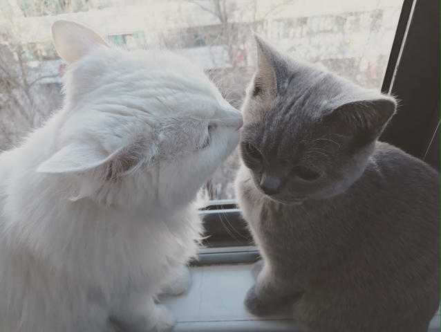 不明不白的始末