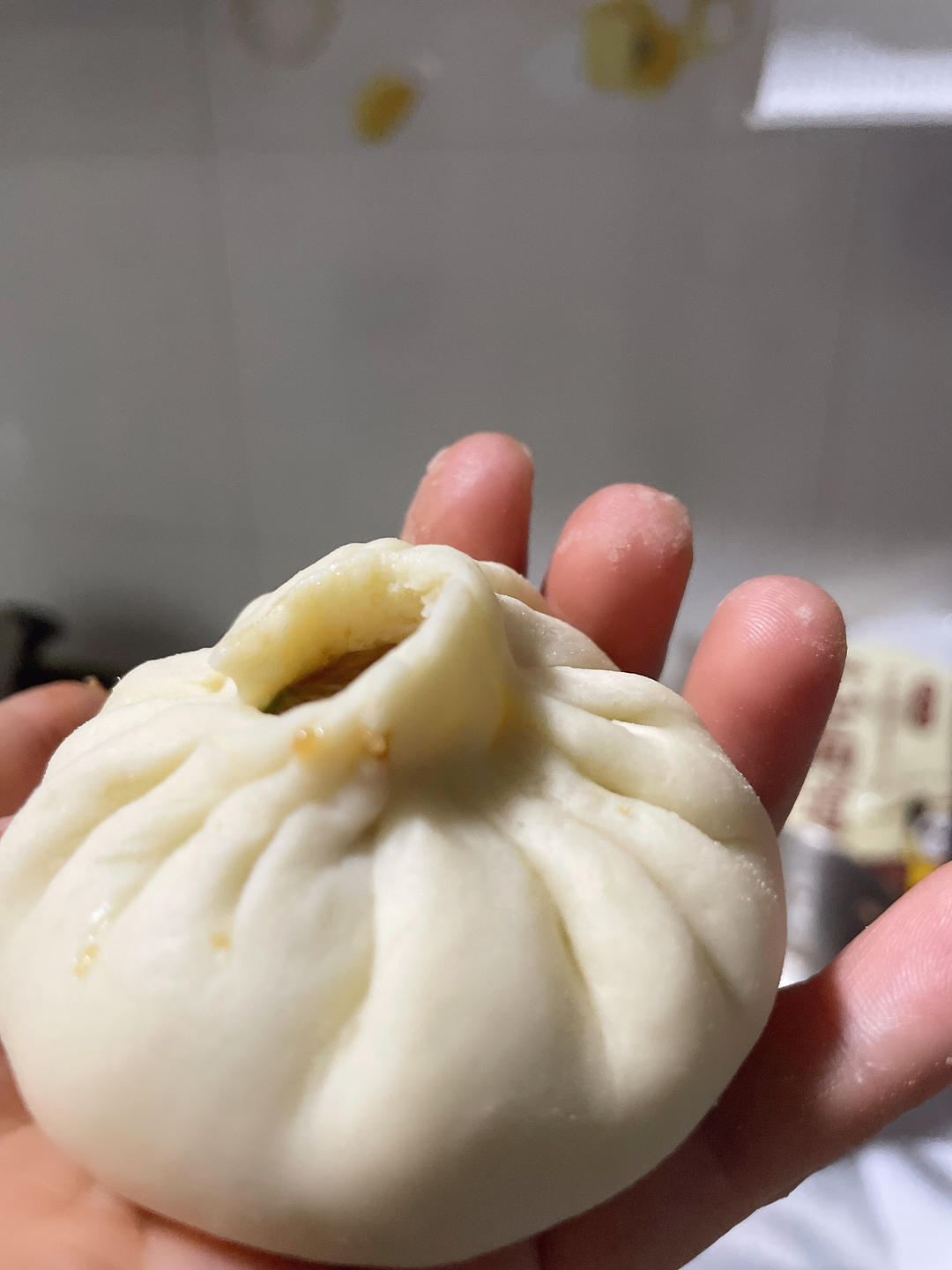 一次发酵肉包子