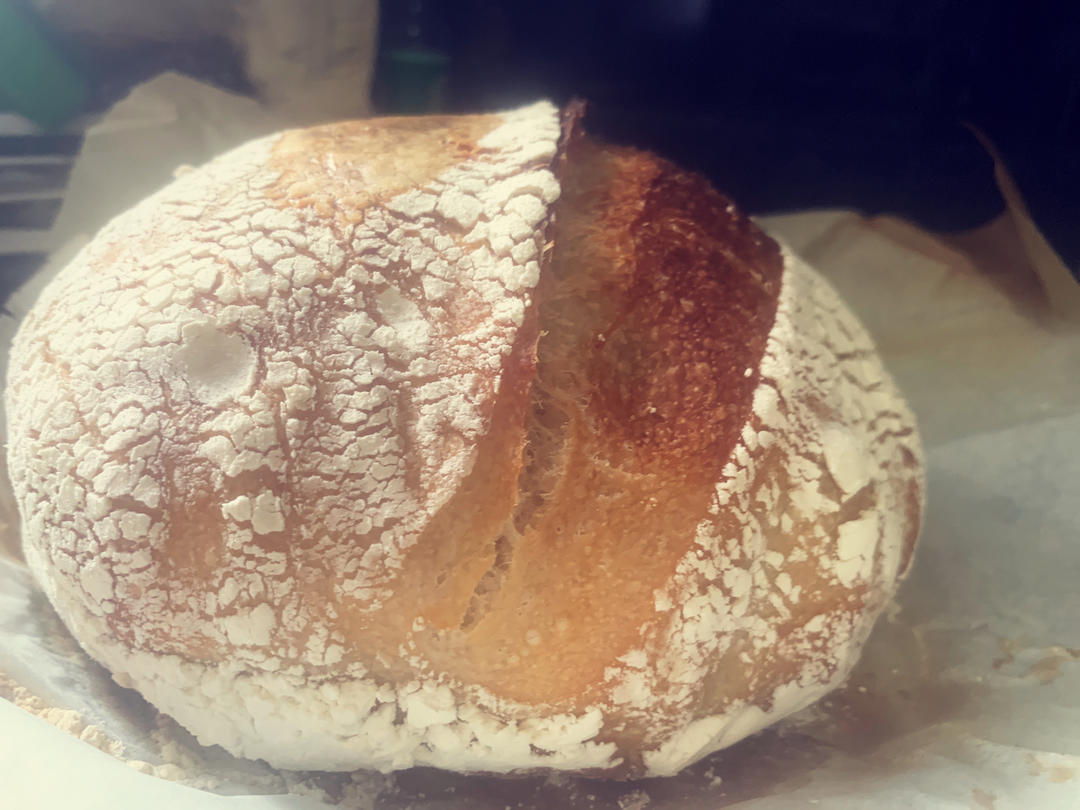 基础欧包练习-室温折叠隔夜冷藏（波兰种）