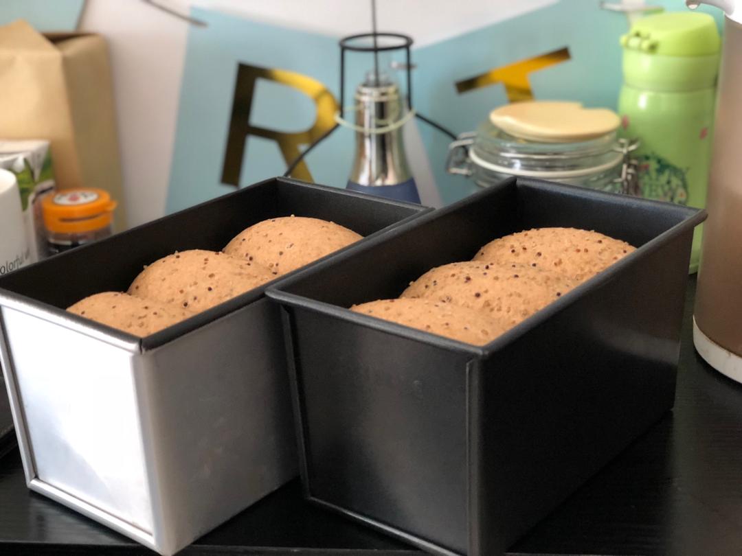 100%纯全麦藜麦吐司 波兰种