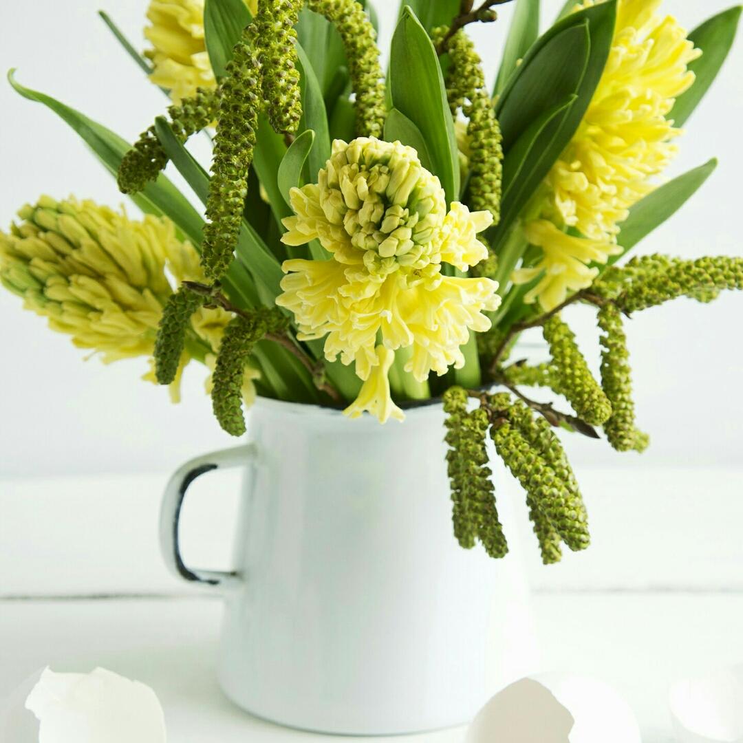 厨房里的小脚丫