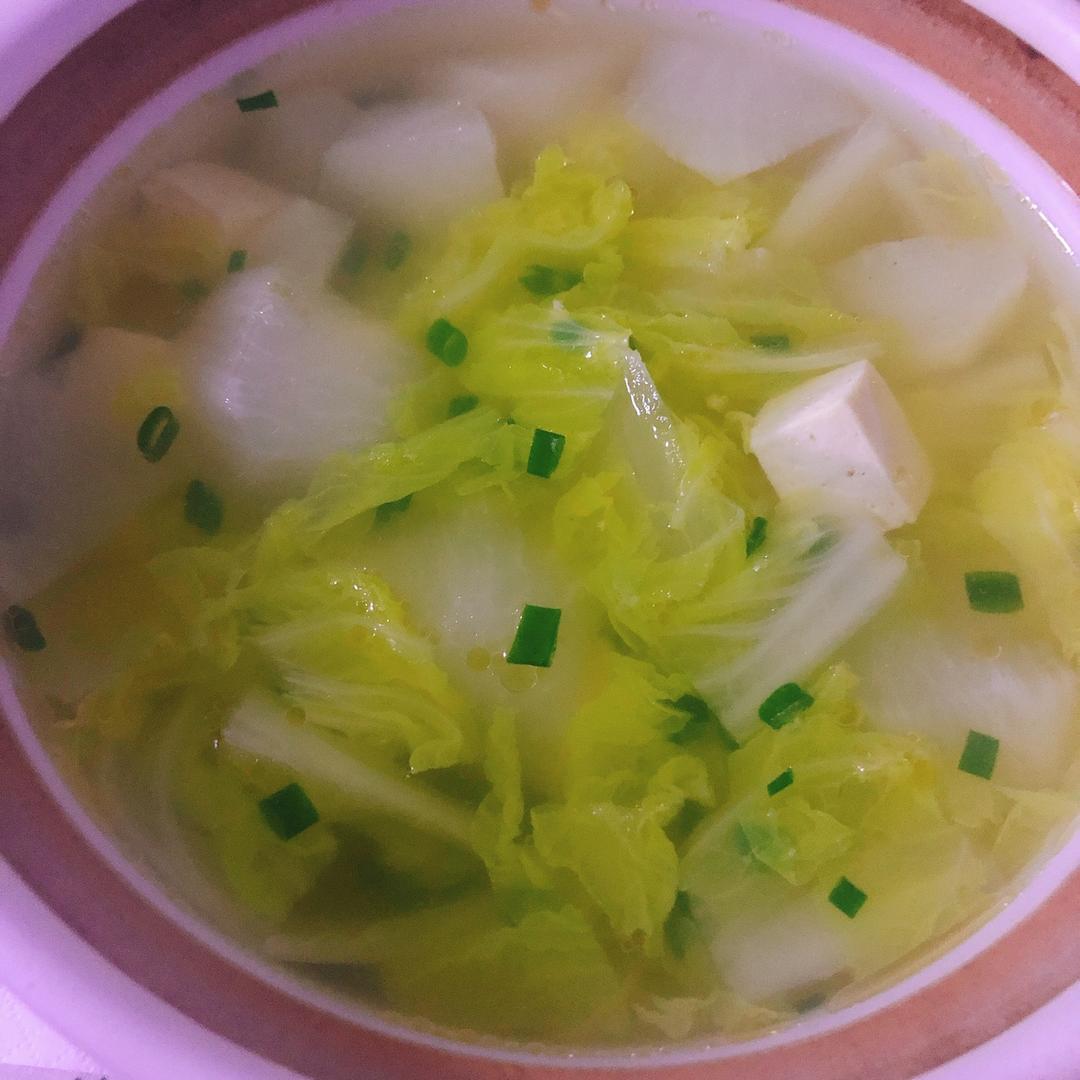 白菜豆腐萝卜汤