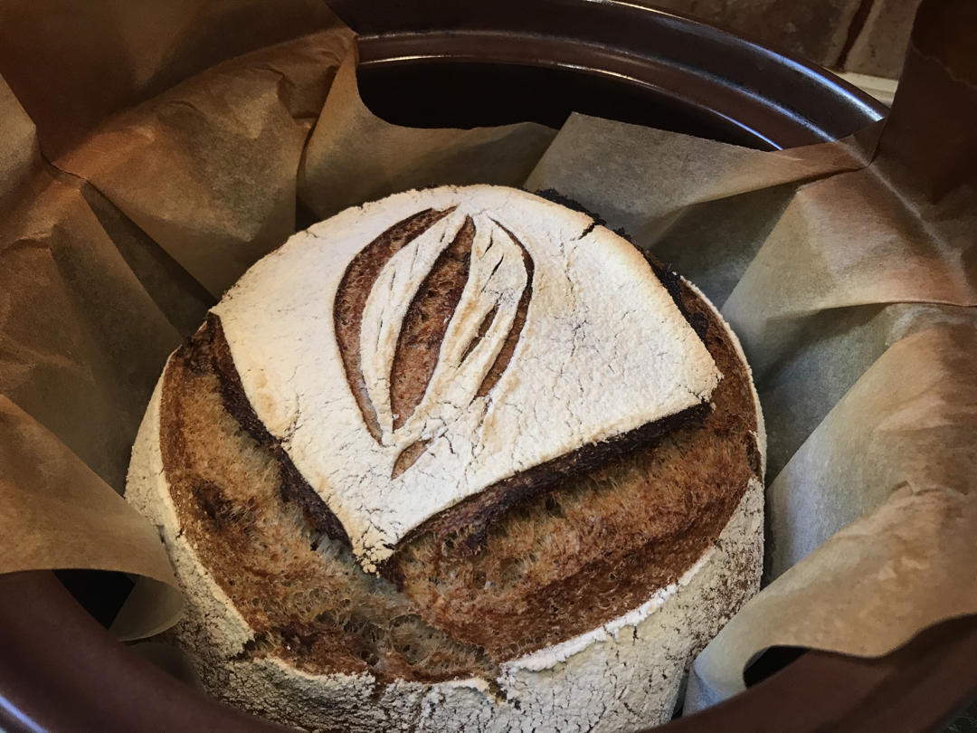 Sourdough | 基础欧包，你的第一款天然发酵面包