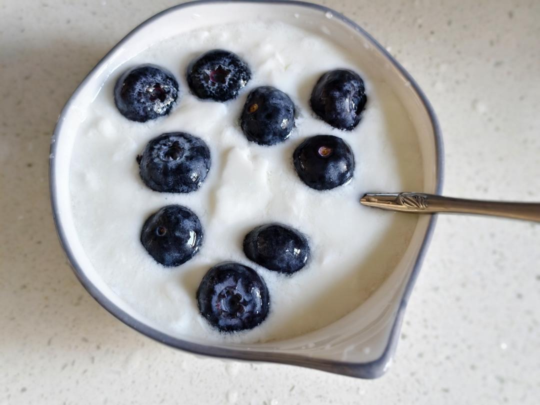 超简单的酸奶做法