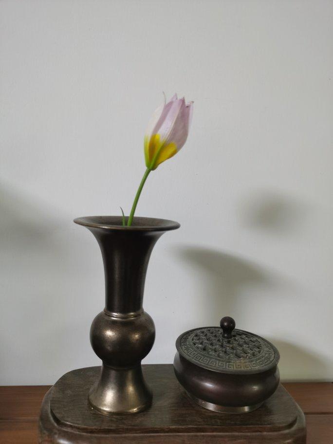 瓶花之美