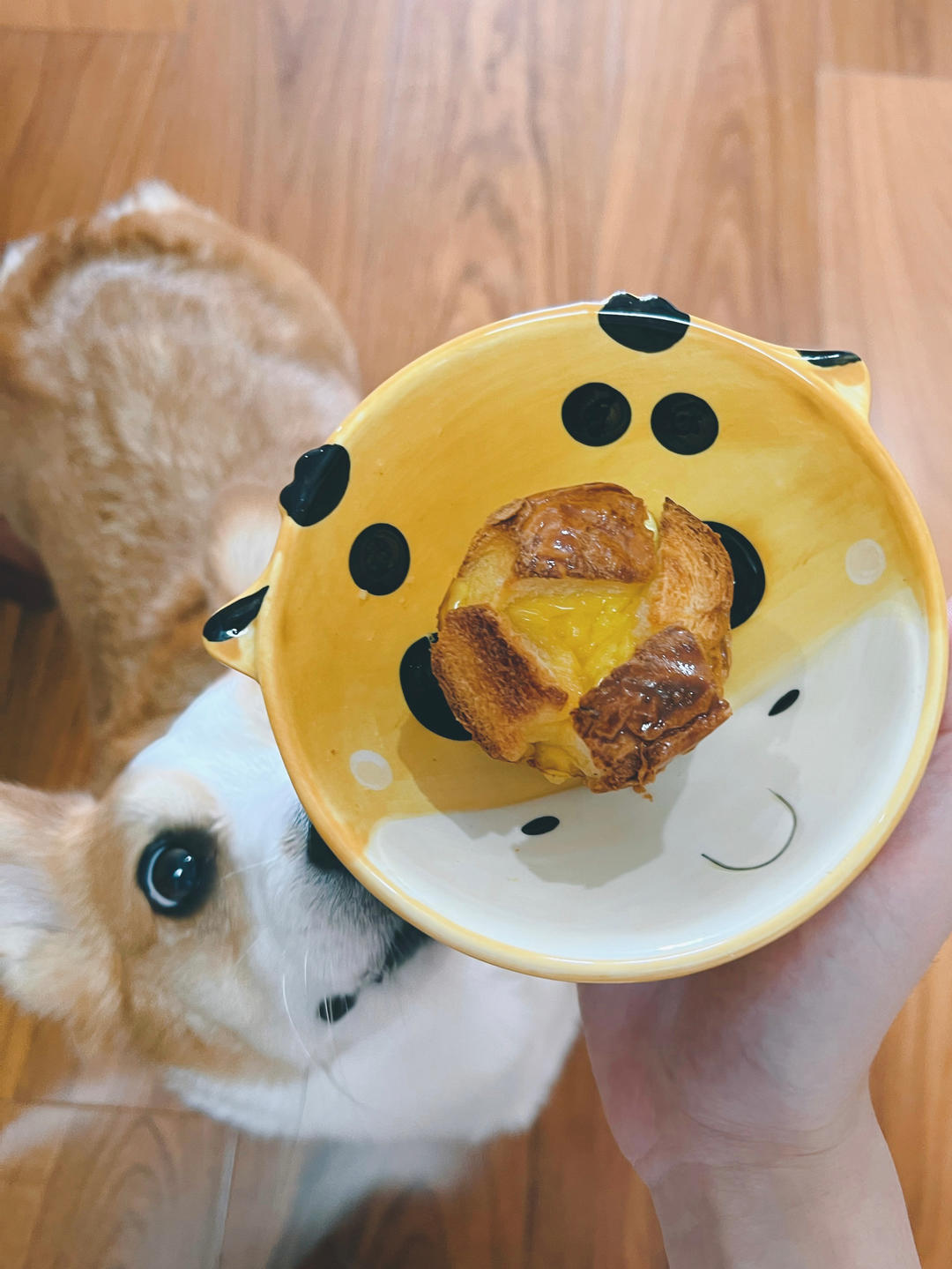 焗烤蔓越梅吐司布丁